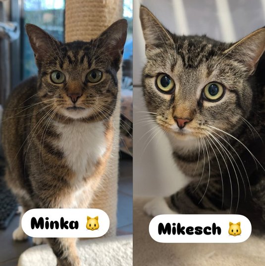 Minka & Mikesch